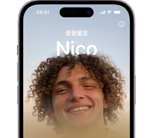 陆丰苹果15服务站分享iPhone15实时语音留言开启方法 